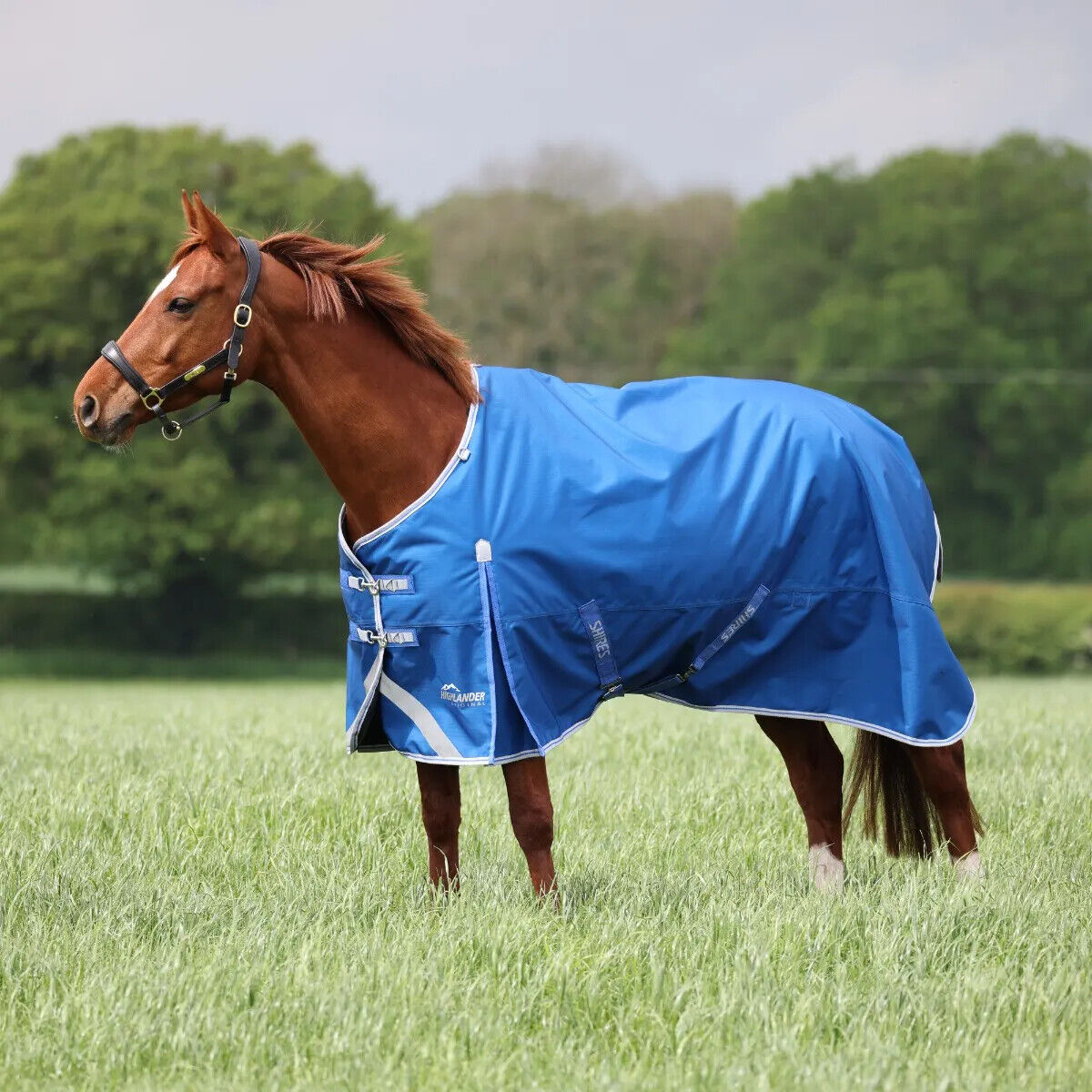 Picture of Shires Highlander Original 200g Horse/Pony Turnout Rug | 2 Colours | 5'0"-7'3"