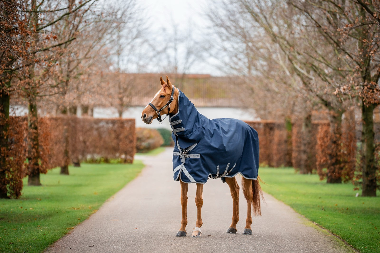 Picture of Horseware Amigo® 1200D Integrated 50g Lightweight Turnout Horse Rug,