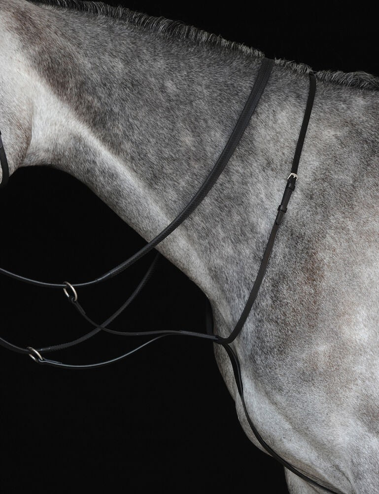 Picture of Collegiate Running Martingale IV, Black, Brown, 4 Sizes.