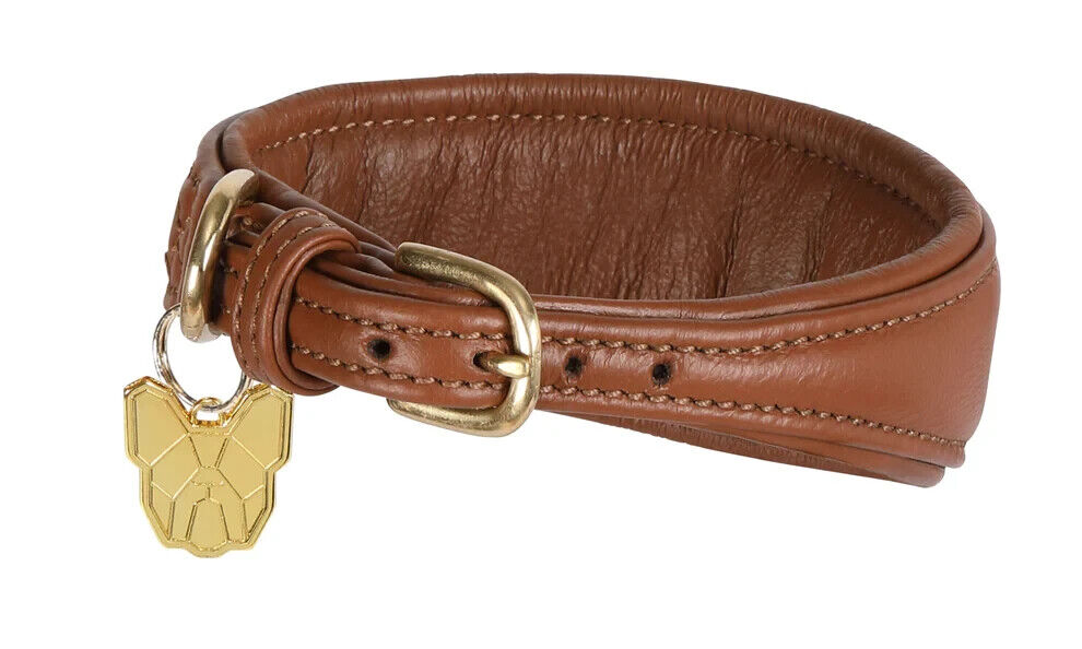 Picture of Shires Digby & Fox Padded Greyhound Leather Dog Collar, 4 Sizes, 3 Colours