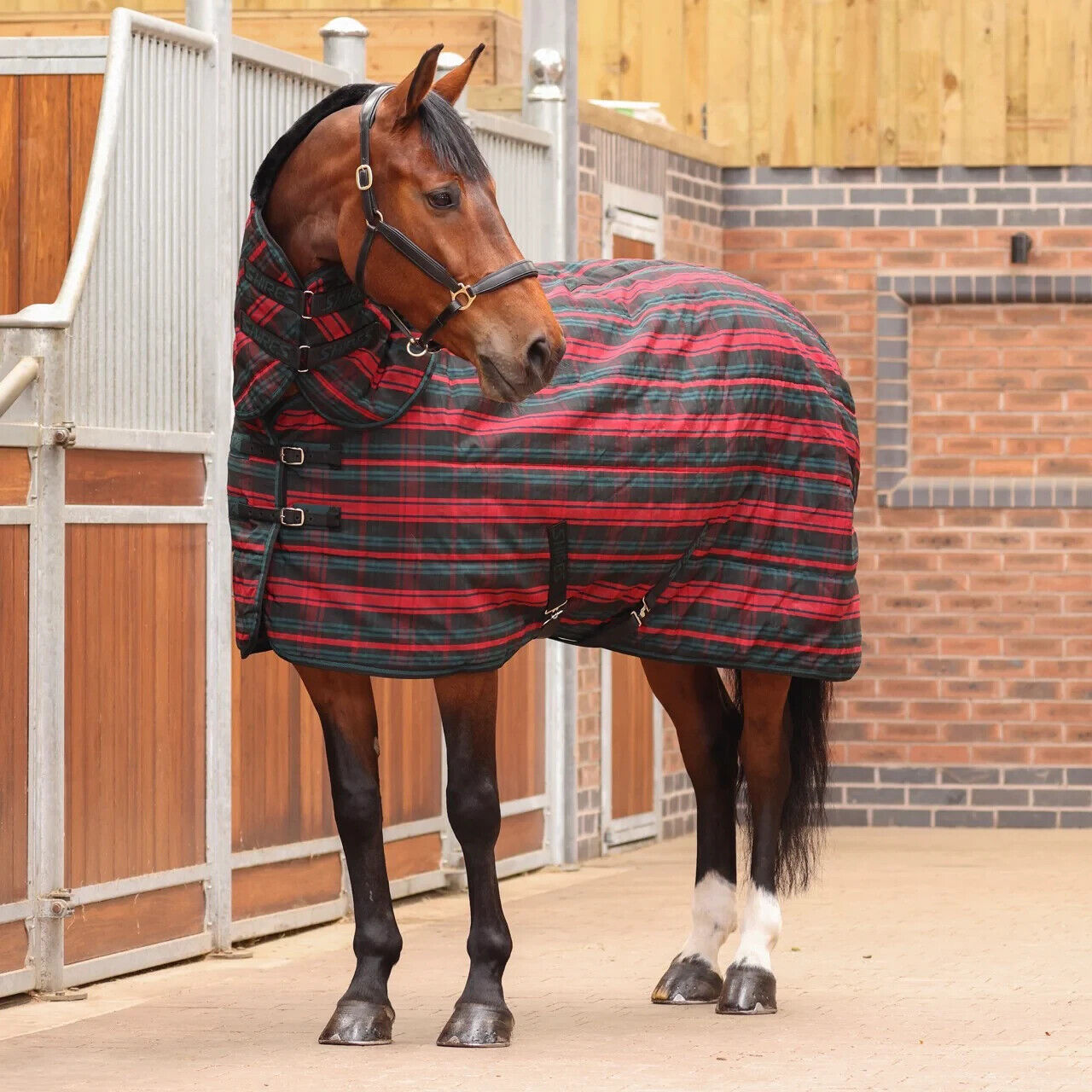 Picture of Shires Tempest Plus 200G Mediumweight Combo Full Neck Horse Stable Rug, 5'0"-7'3