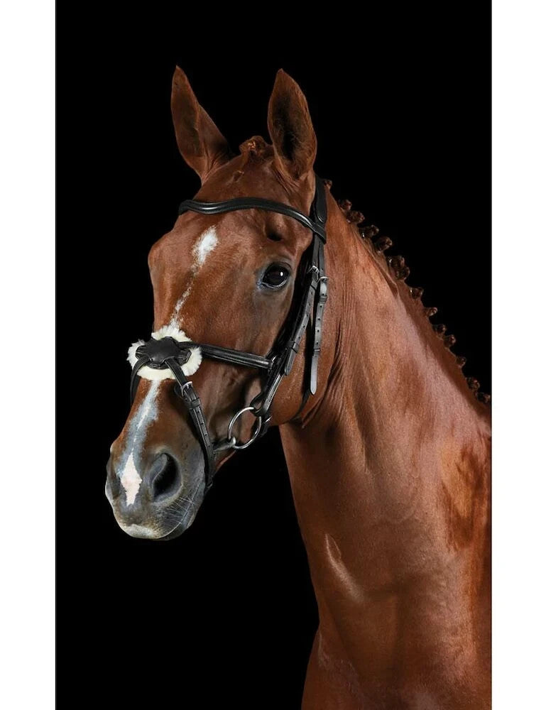 Picture of Collegiate Comfitec Grackle Bridle, Black or Brown, 3 Sizes.