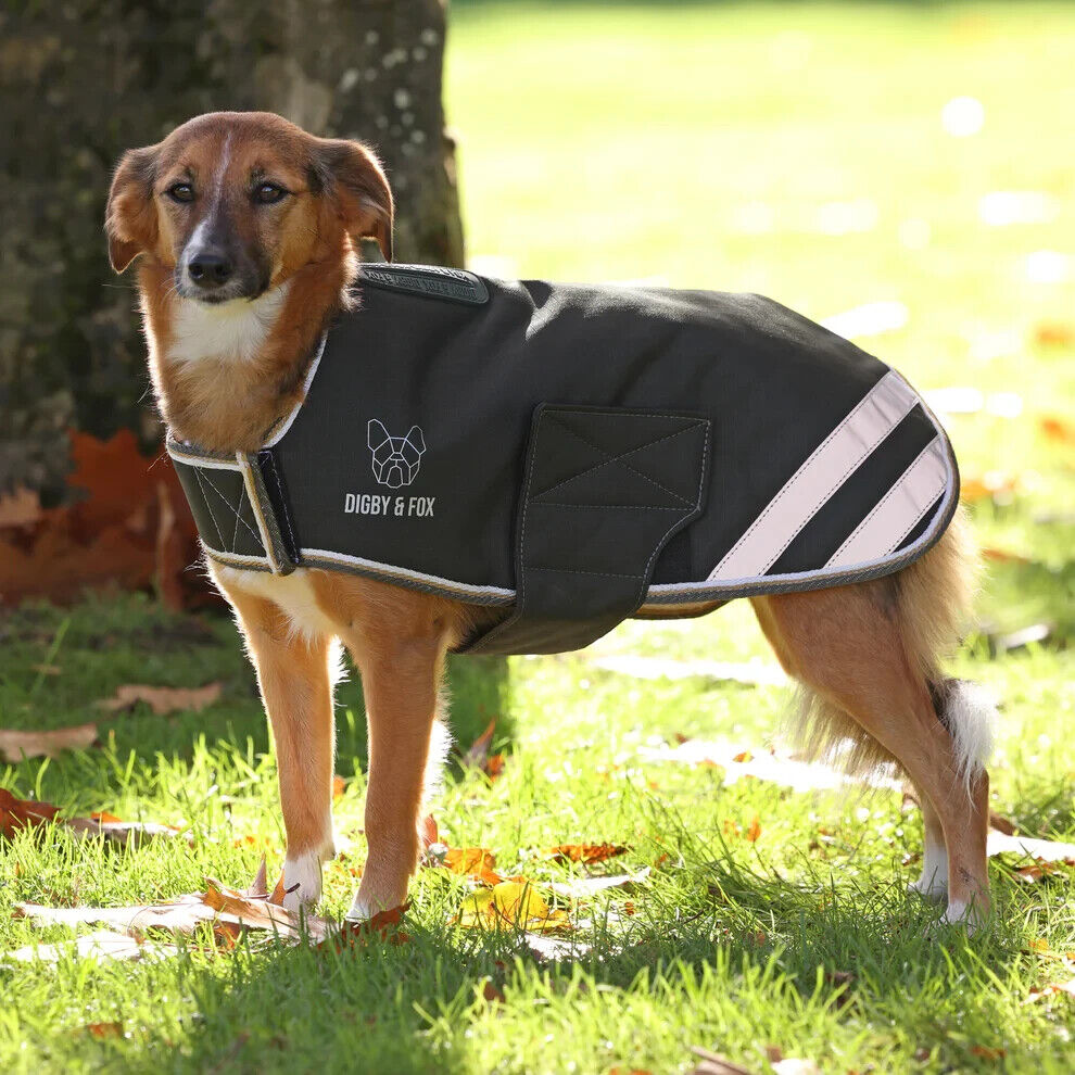 Picture of Shires Digby & Fox Waterproof Dog Coat, Insulated lining, Various Sizes/Colours