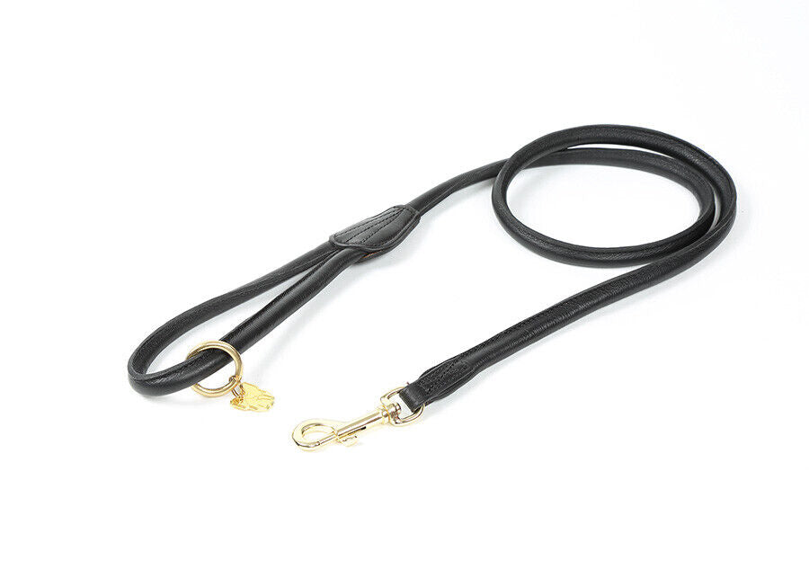 Picture of Digby and Fox Rolled Leather Dog Lead   in   Various Colours