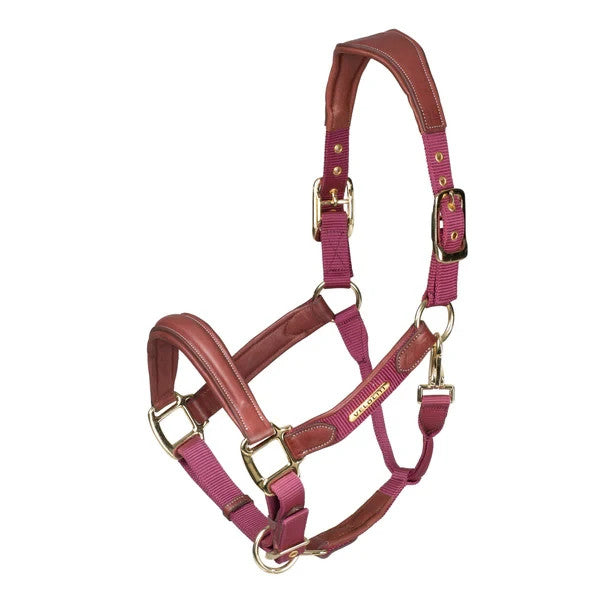 Picture of Shires Velociti Lusso Padded Leather Headcollar,  5 Colours, 3 Sizes