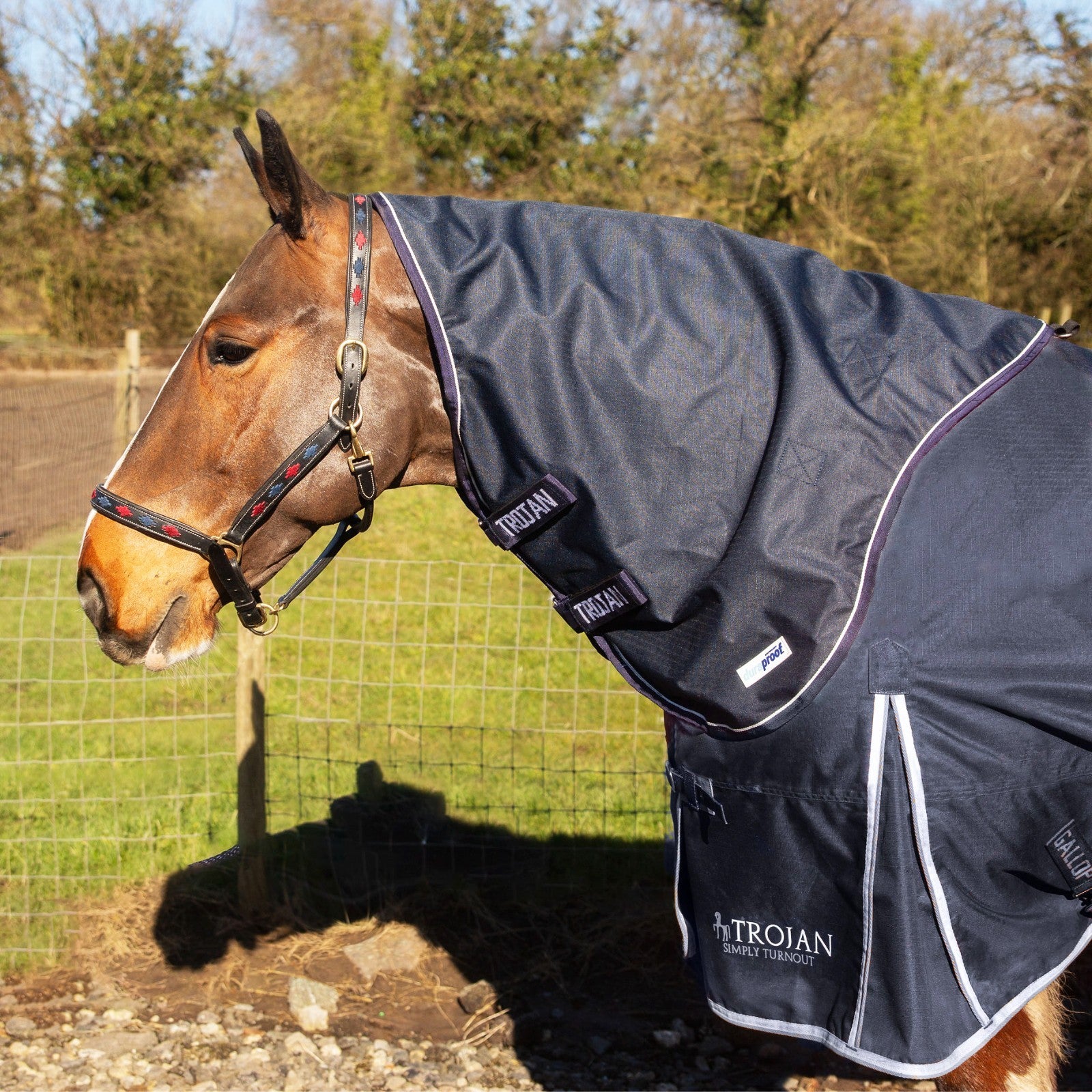 Picture of Gallop TROJAN Duraproof Rug 150g Neck Cover, Outdoor.