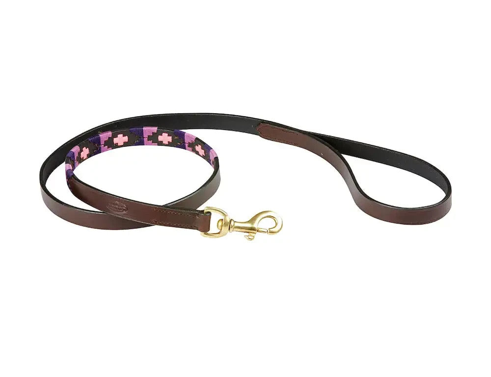Picture of Weatherbeeta Polo Leather Dog Lead, 5 Colours.