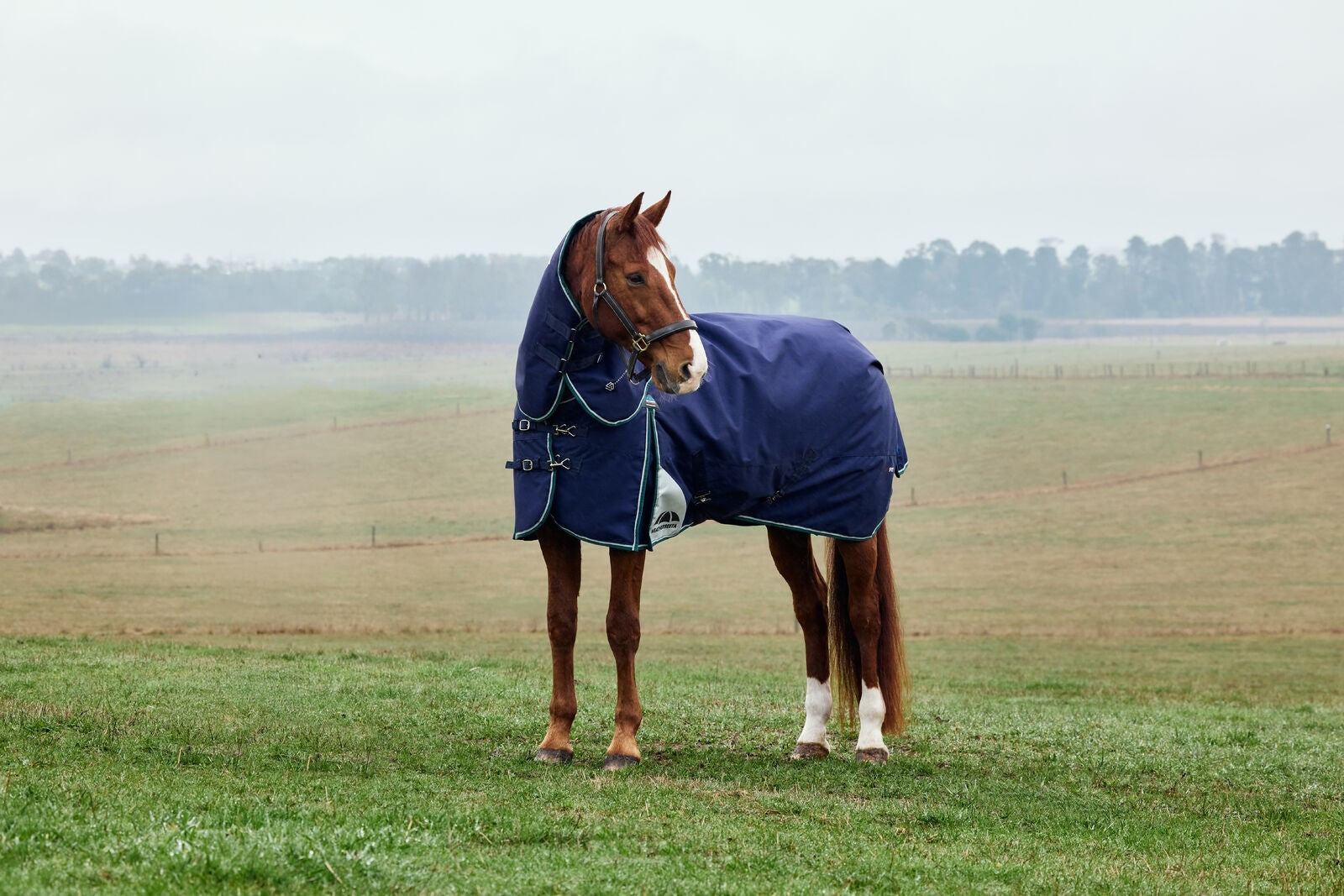 Picture of WEATHERBEETA COMFITEC PLUS DYNAMIC 0G HORSE TURNOUT RUG, DETACH-A-NECK, LIGHT
