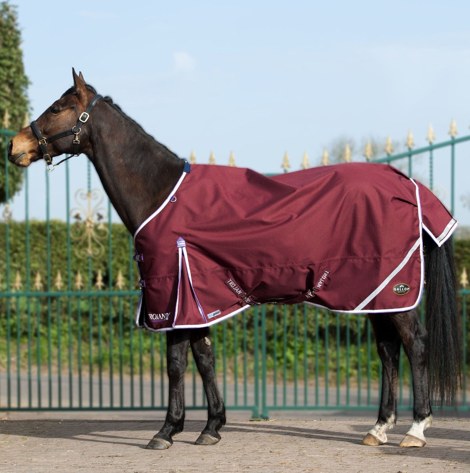 Picture of Gallop Trojan Xtra Duraproof 0G Lightweight 1200 Denier Horse Turnout Rug