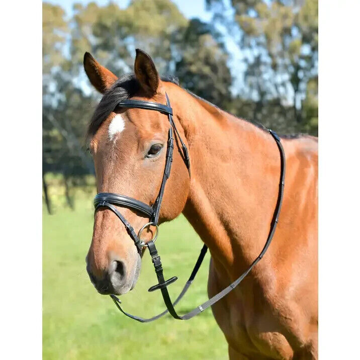 Picture of Kincade Classic Plain Raised Flash Bridle With Reins, Leather, Black or Havana