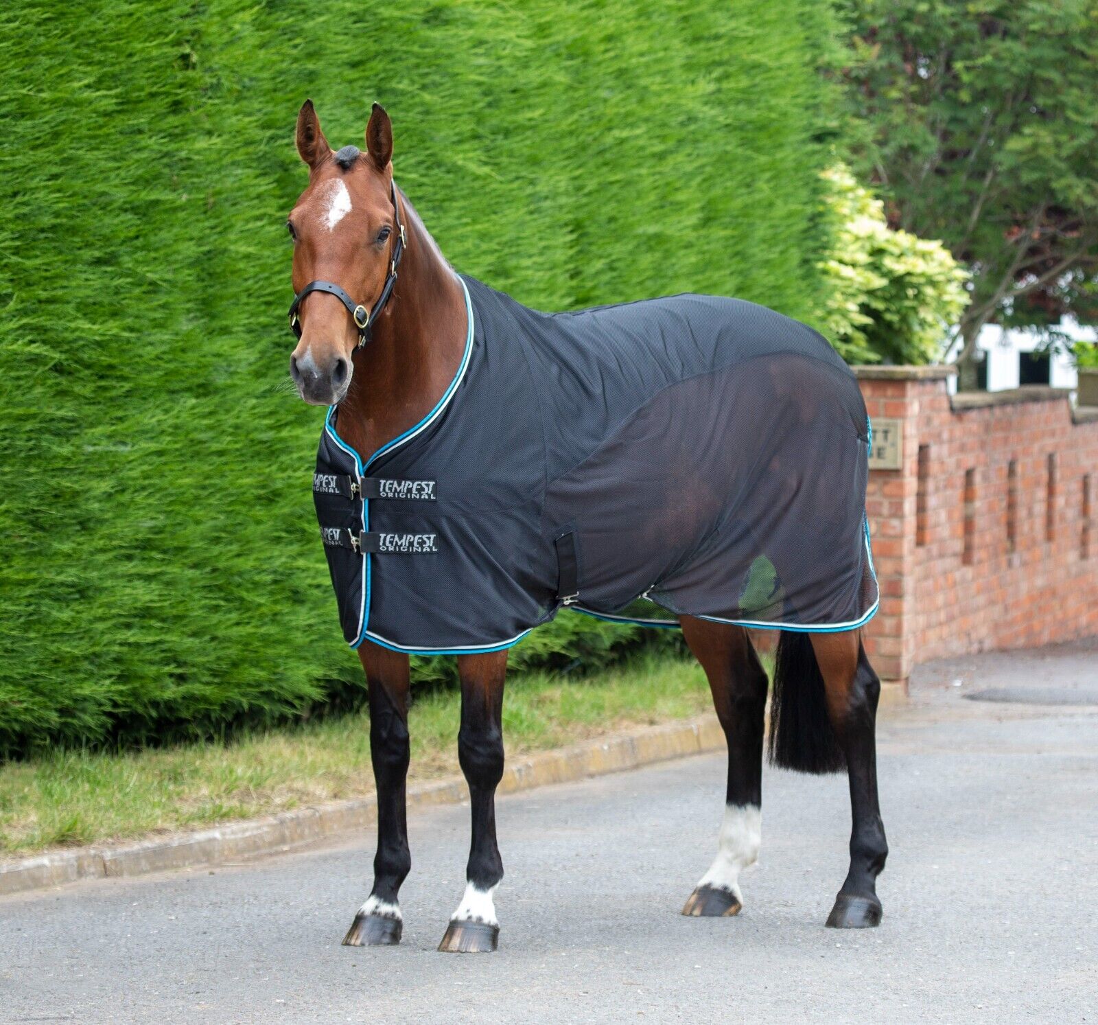 Picture of Shires Tempest Original Fleece Mesh Cooler / Travel Rug, 4 Colours,  4'6" - 7'3"