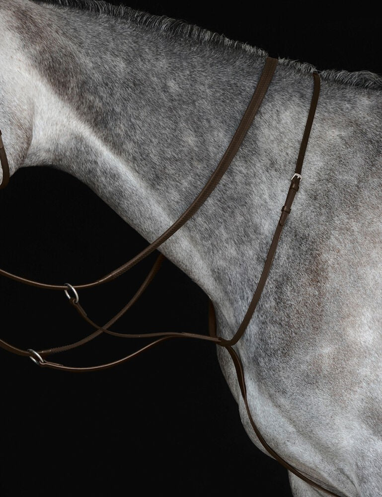 Picture of Collegiate Running Martingale IV, Black, Brown, 4 Sizes.