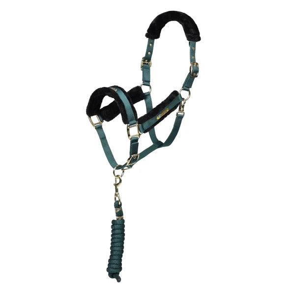 Picture of Shires ARMA Logo Headcollar & Lead Rope, 4 Colours, 4 Sizes