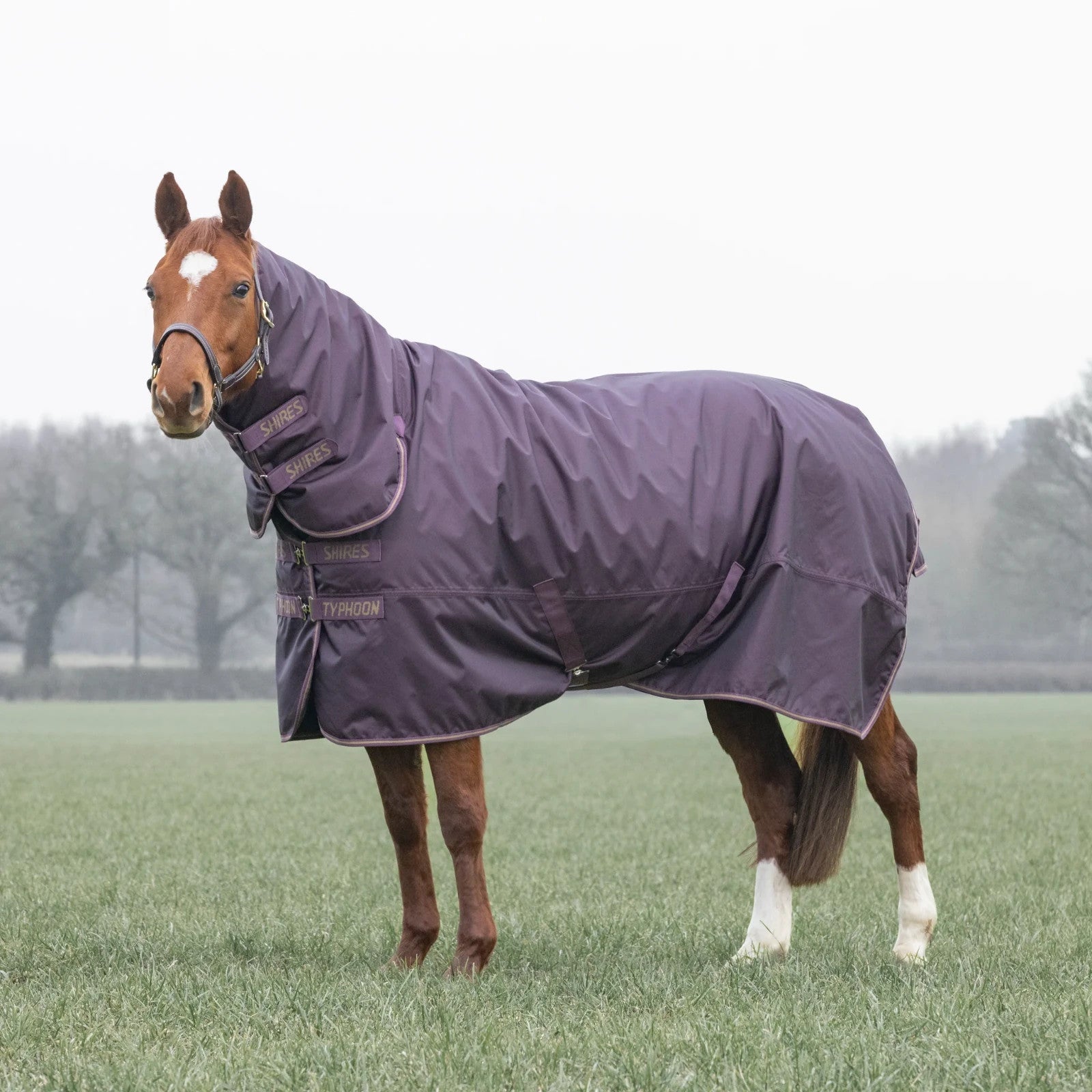Picture of Shires Typhoon 100G Full Neck Combo Lightweight Horse/Pony Turnout Rug