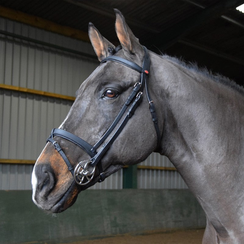 Picture of Whitaker Ready to Ride Snaffle Bridle   , 2 Colours, 4 Sizes