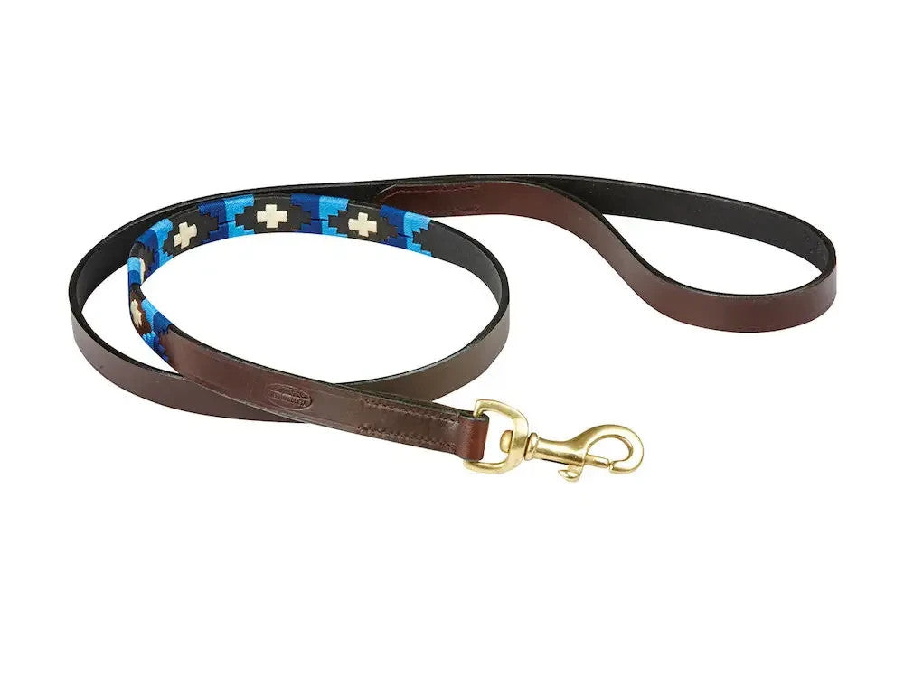 Picture of Weatherbeeta Polo Leather Dog Lead, 5 Colours.