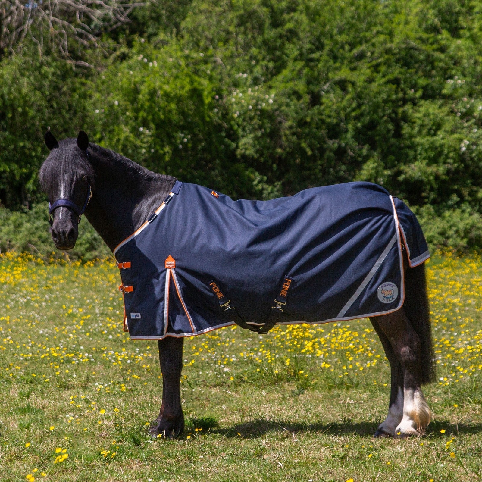 Picture of Gallop Ponie  Xtra Duraproof 100G Lightweight 1000 Denier Turnout Rug