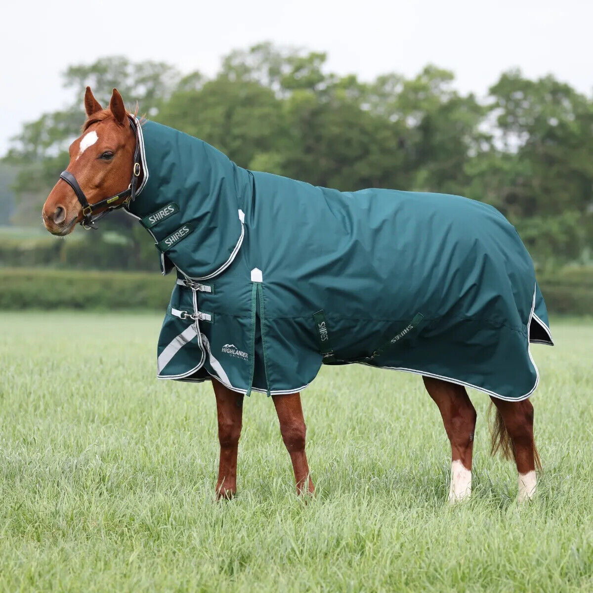 Picture of Shires Highlander Heavyweight 300g Horse/Pony Turnout Full Neck Combo Rug