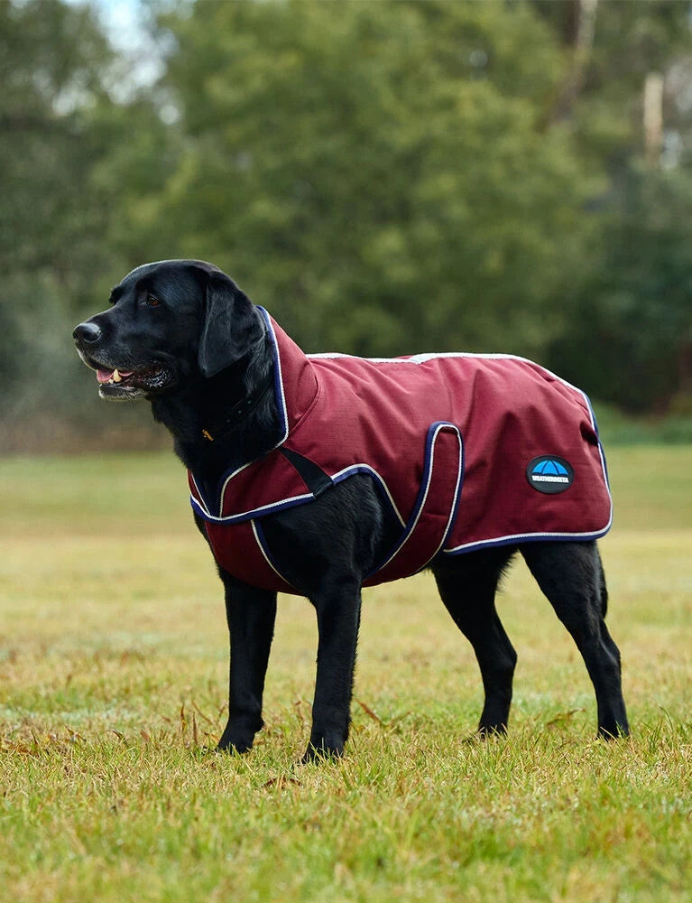 Picture of Weatherbeeta Comfitec Premier Deluxe Waterproof Dog Coat, 2 Colours, 11 Sizes.