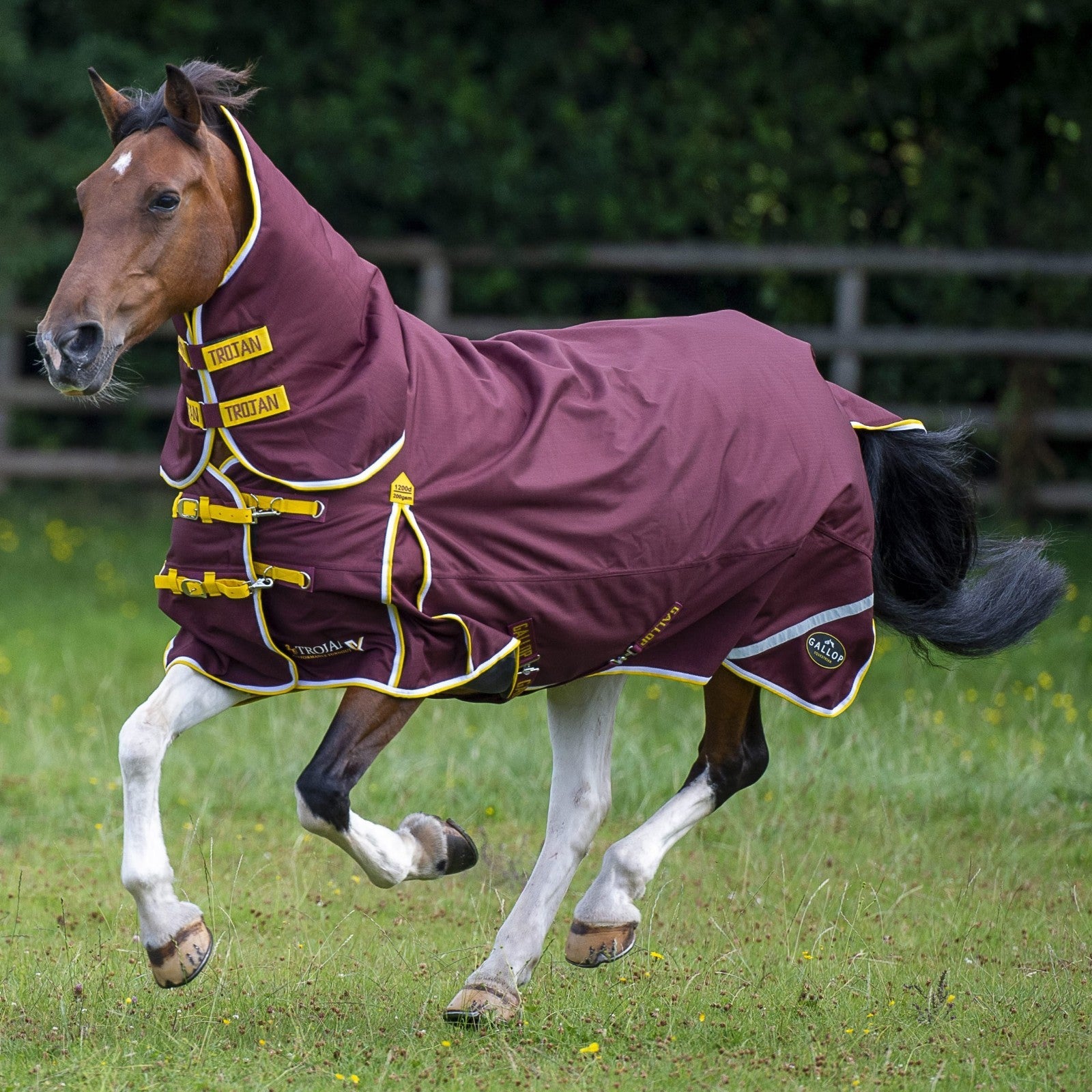 Picture of Gallop TROJAN Xtra Duraproof 200g Horse Turnout Rug, Full Neck Combo 1200 Denier