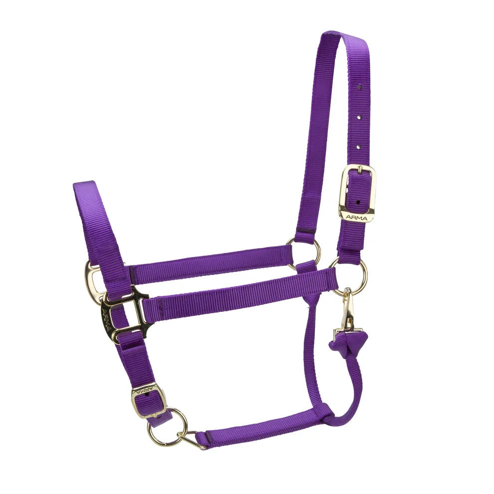 Picture of Shires ARMA Premium Adjustable Headcollar, 10 Colours, 4 Sizes