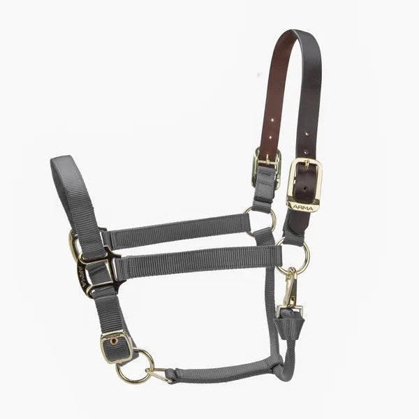 Picture of Shires ARMA Premium Adjustable FieldSafe Headcollar, 10 Colours, 4 Sizes