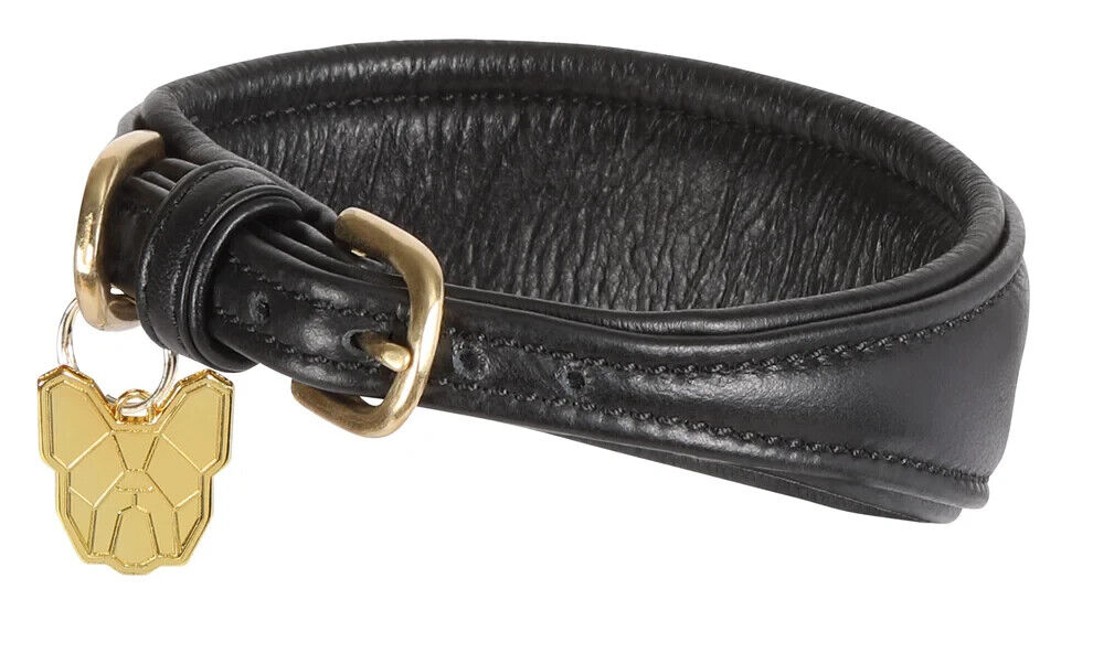 Picture of Shires Digby & Fox Padded Greyhound Leather Dog Collar, 4 Sizes, 3 Colours