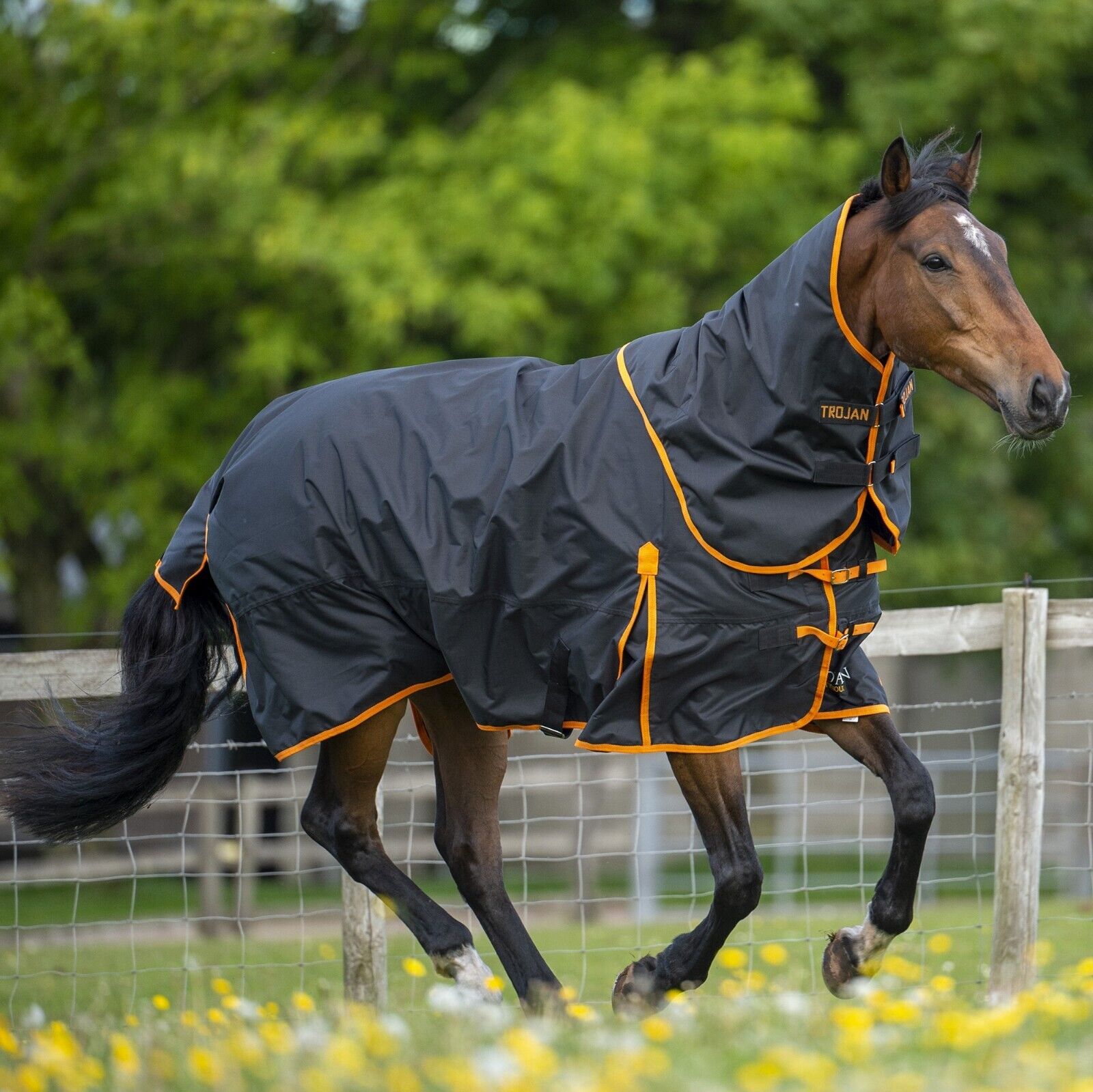 Picture of Gallop Trojan Dual 100g Horse Turnout Rug, Detachable Neck, Lightmedium