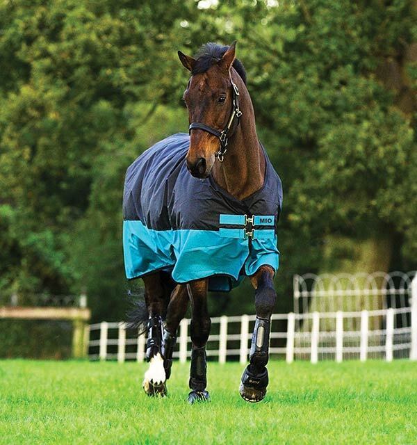 Picture of Horseware Mio Summer Lightweight 0g Horse/Pony Turnout Rug  in Black/Turq