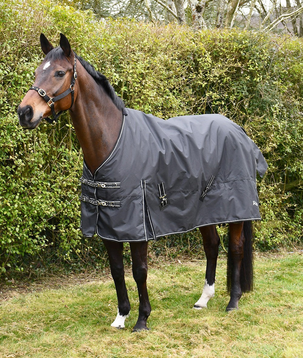 Picture of Rhinegold Nevada Lightweight 50g Horse Turnout Rug, Std Neck, 4'0"-7'3"