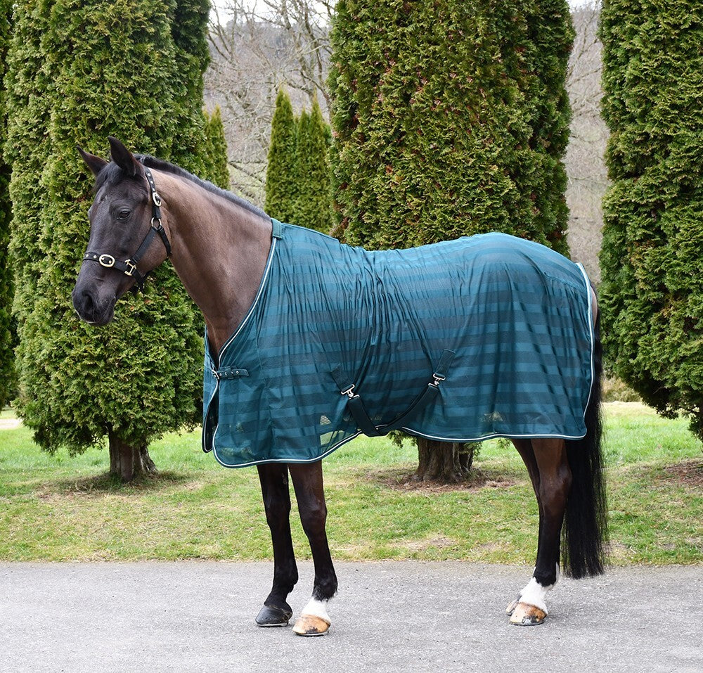 Picture of Rhinegold Sweat Sheet, Horse/Pony Rug,