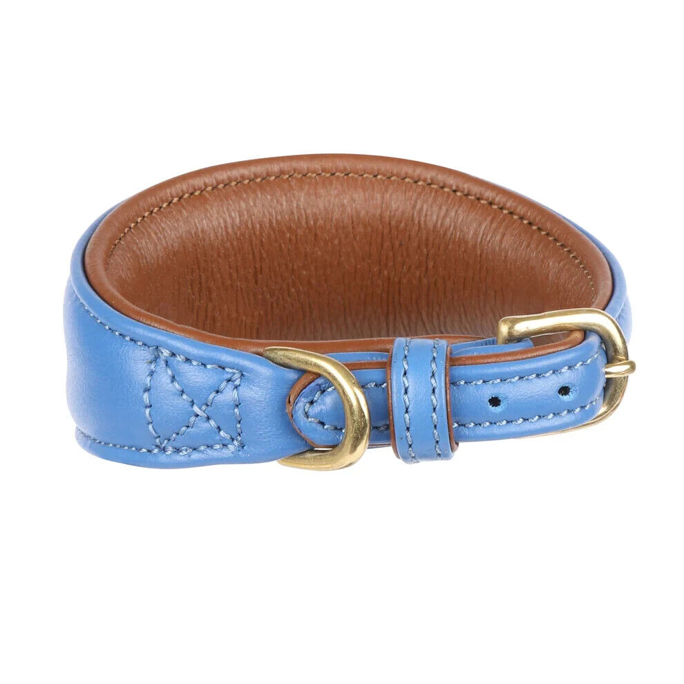 Picture of Shires Digby & Fox Padded Greyhound Leather Dog Collar, 4 Sizes, 6 Colours