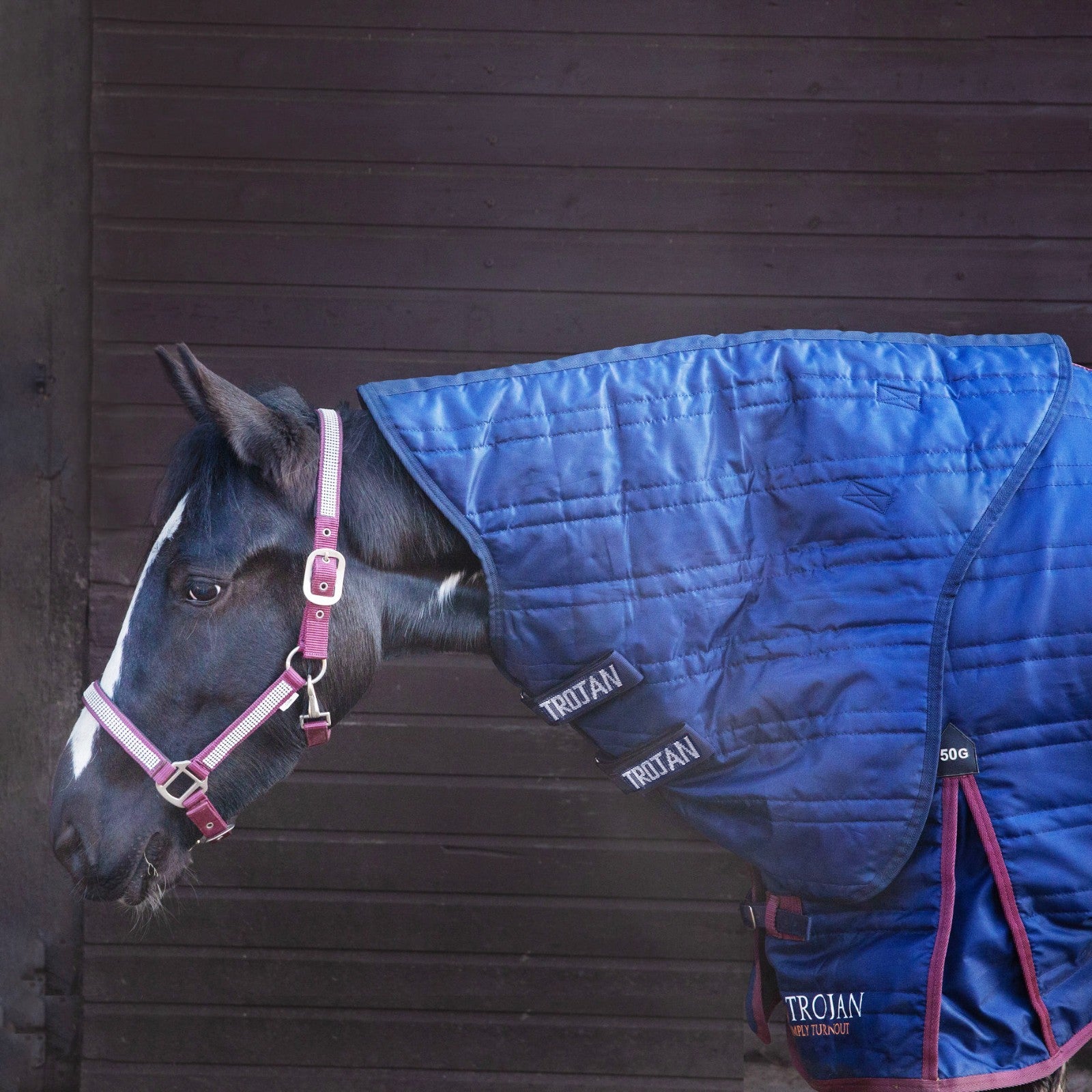 Picture of Gallop TROJAN 50g Stable Rug Neck Cover