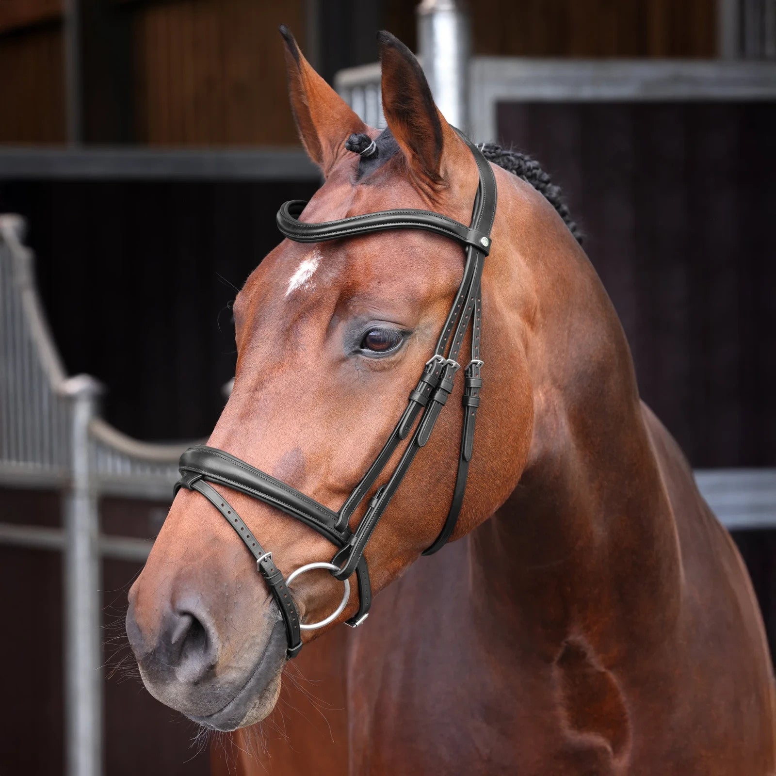 Picture of Shires Velociti LUSSO Elite Padded Raised Flash Bridle, Black / Havana, 4 Sizes