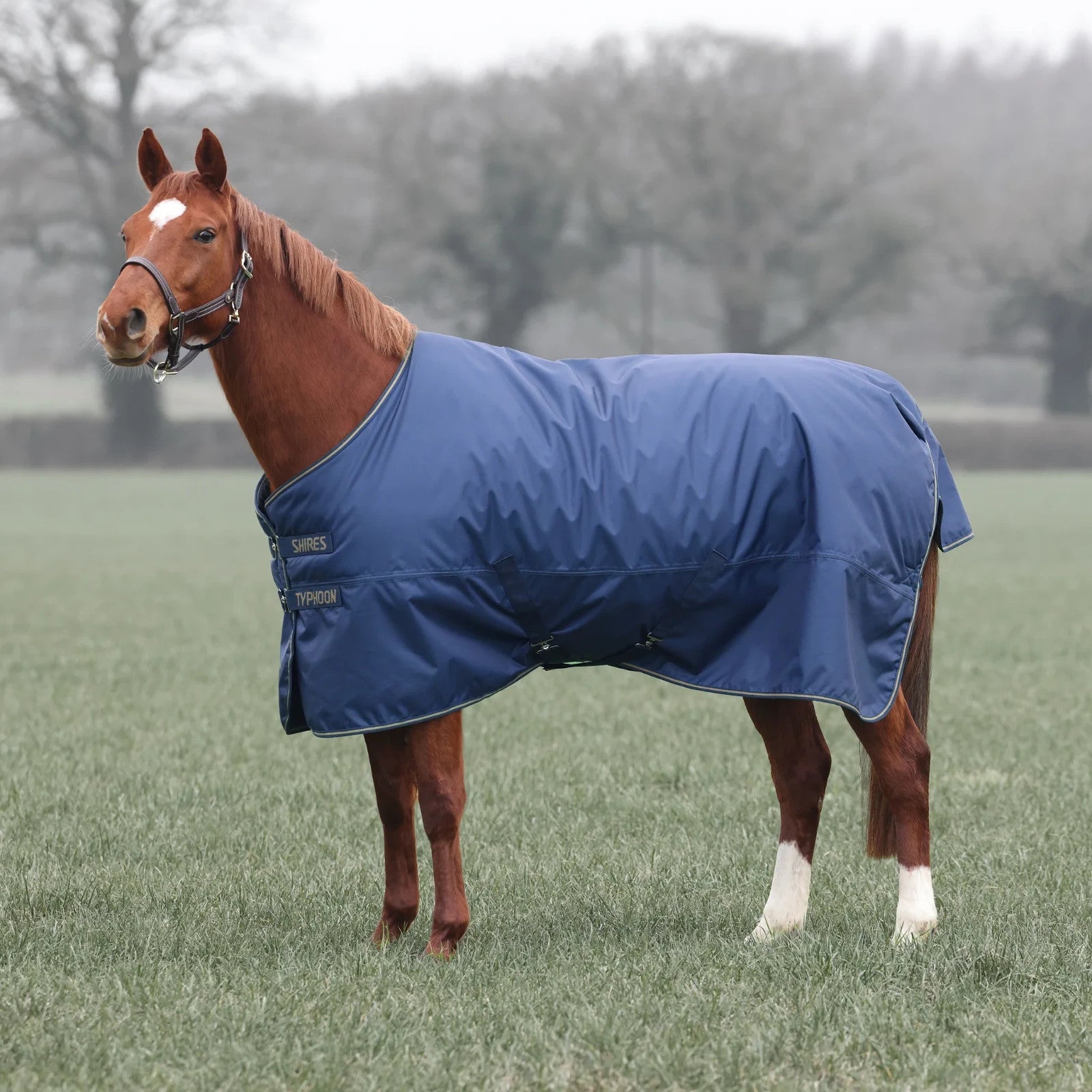 Picture of Shires Typhoon Lite No Fill 0G Lightweight Horse/Pony Turnout Rug, Navy or Green