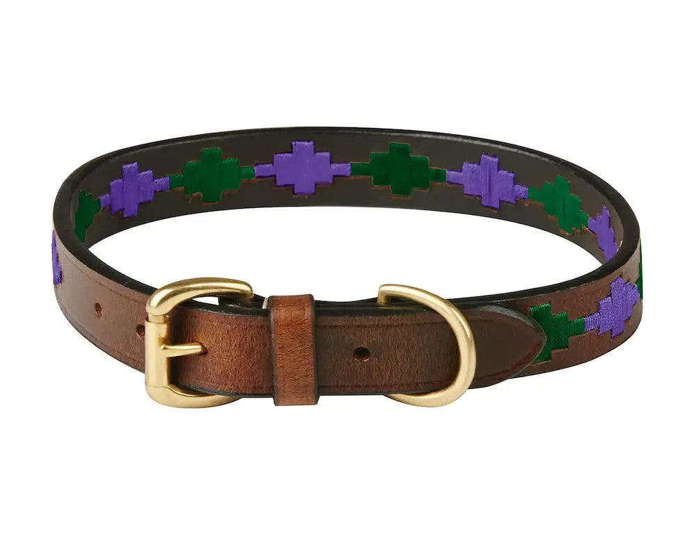Picture of Weatherbeeta Polo Leather Dog Collar, 5 Colours, 6 Sizes