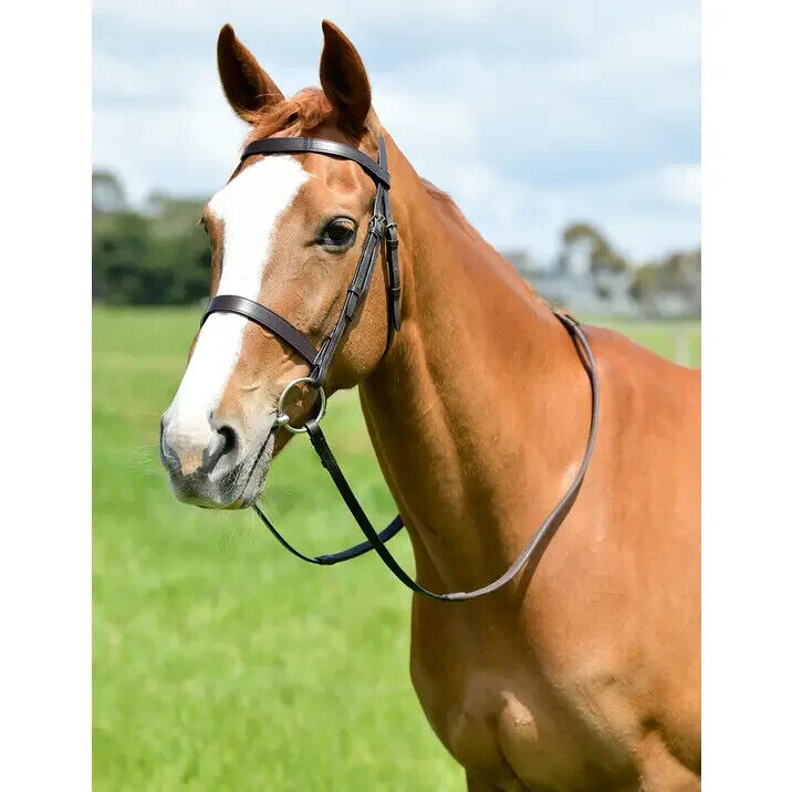 Picture of Kincade Classic Flat Hunt Bridle With Reins, Leather, Black or Havana