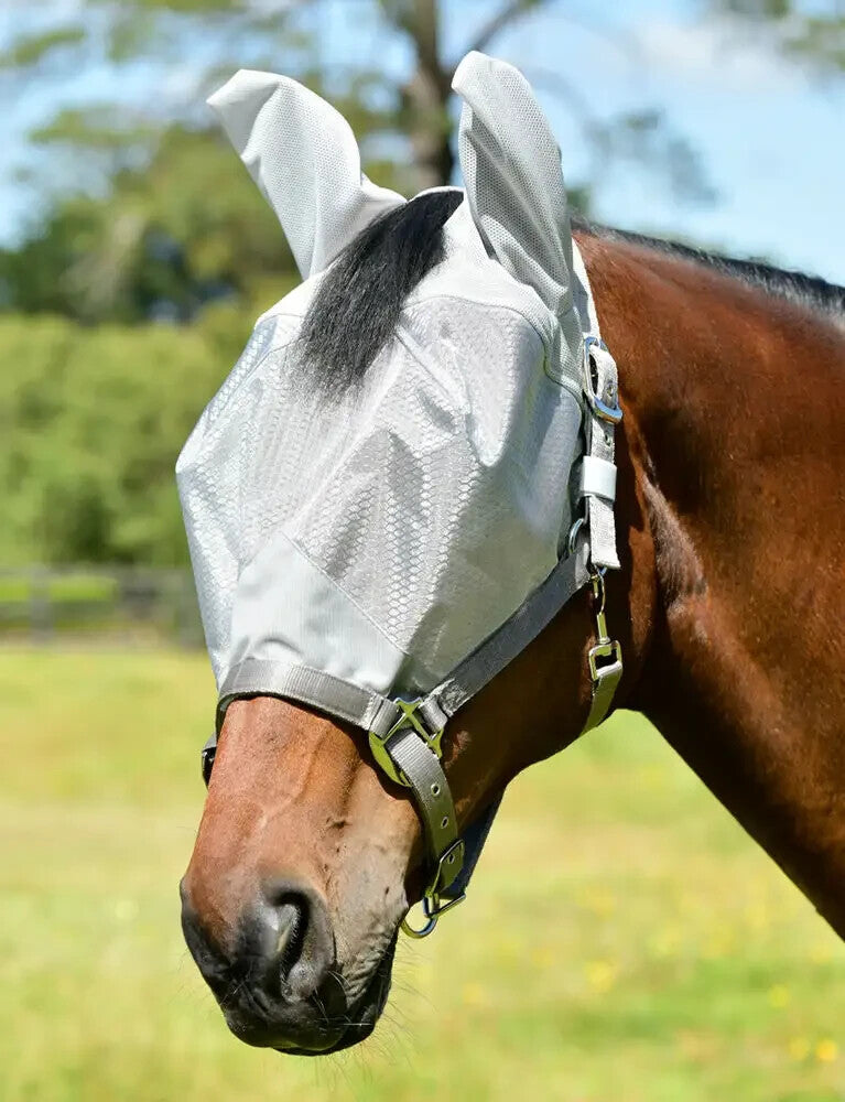 Picture of WeatherBeeta ComFiTec Hexi Shield Dual Fly Mask, with Field Safe Headcollar.