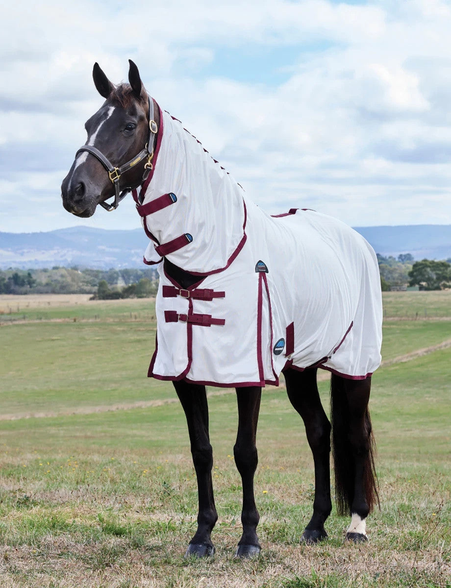 Picture of Weatherbeeta ComFiTec Essential Fly Rug Sheet, Full Neck Combo, UV Protect.