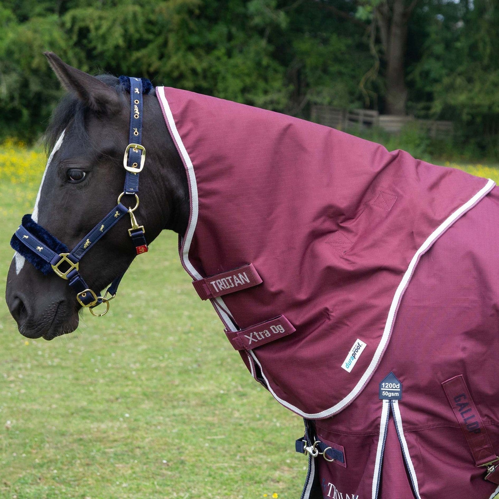 Picture of Gallop TROJAN Xtra Duraproof Rug 0g Lightweight Neck Cover, Outdoor.