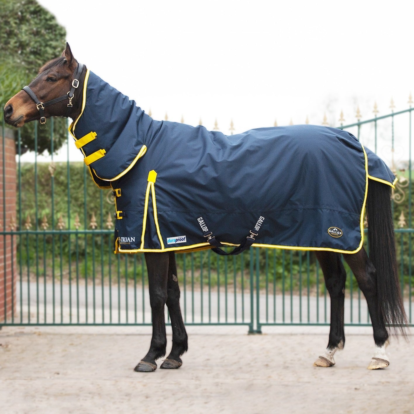 Picture of Gallop Trojan / Ponie 200G Duraproof Horse Turnout Rug Full Neck Combo