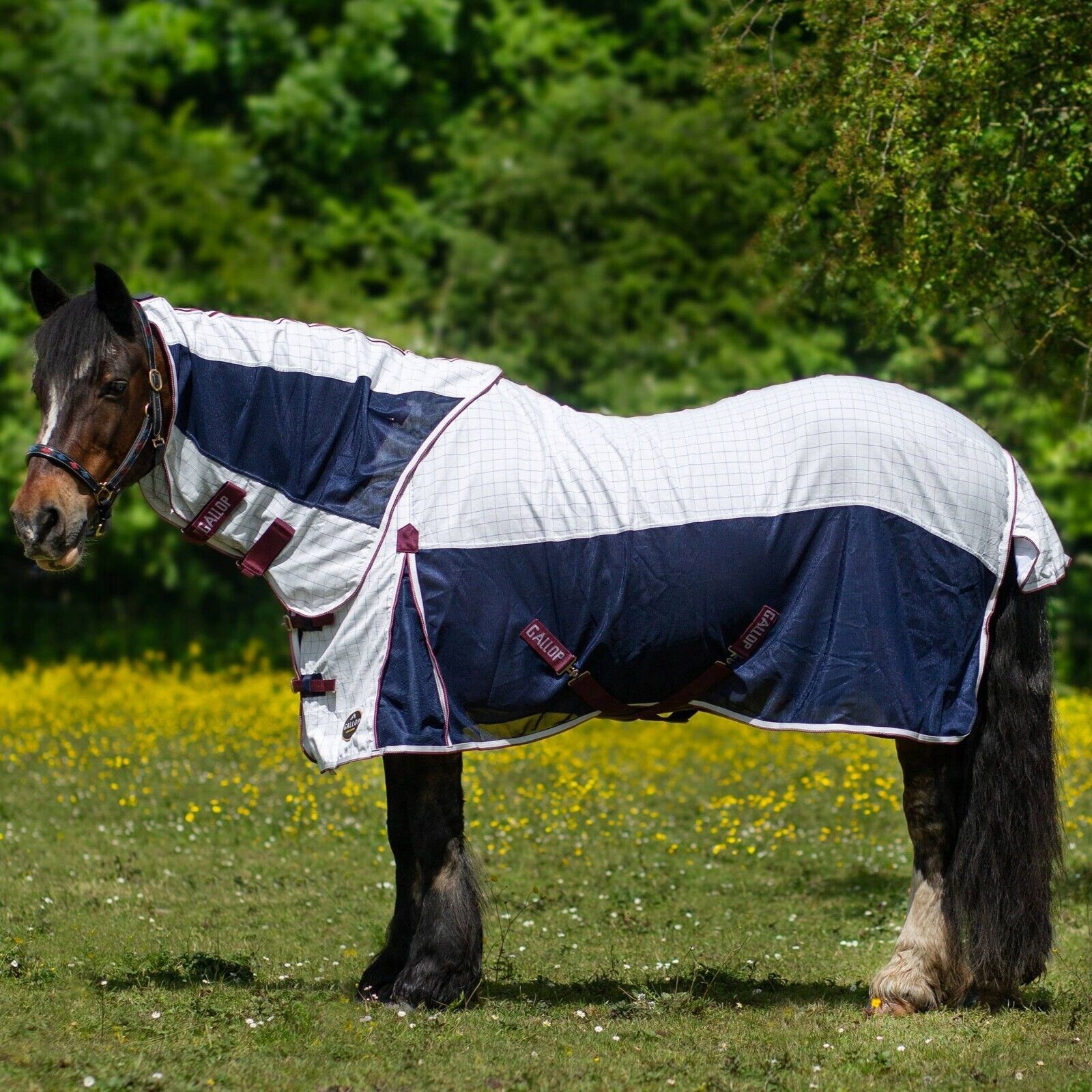 Picture of Gallop Equestrian Air Mesh Dual Summer Sheet,Horse Fly Sheet, Detachable Neck