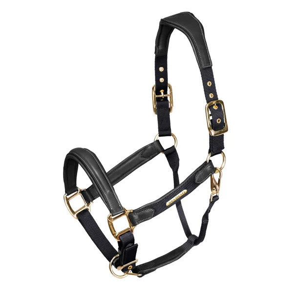 Picture of Shires Velociti Lusso Padded Leather Headcollar,  5 Colours, 3 Sizes