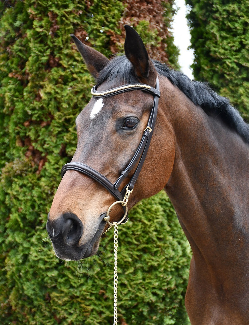 Picture of Rhinegold Veneto Leather Show Bridle With Clincher Browband,  2 Colours, 3 Sizes