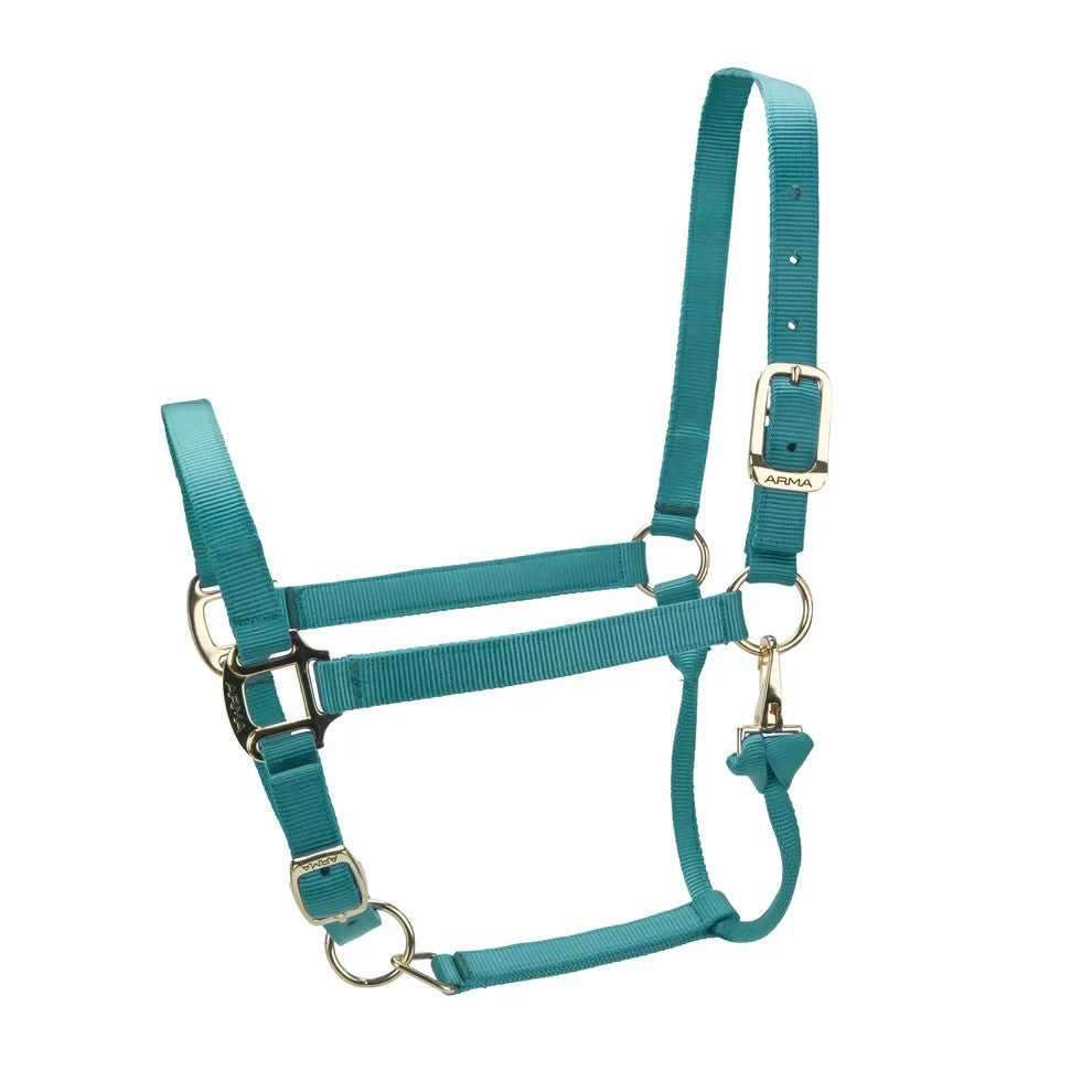 Picture of Shires ARMA Premium Adjustable Headcollar, 10 Colours, 4 Sizes