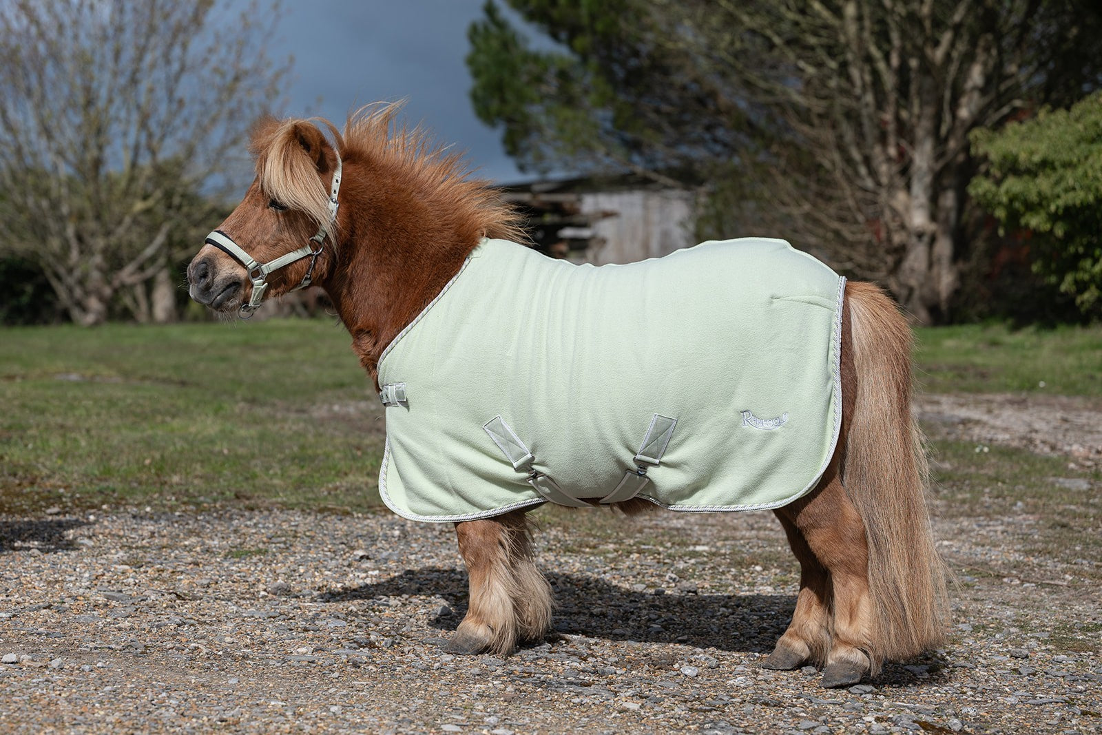 Picture of Rhinegold Mini Sorbet Fleece Rugs, Std Neck, 3 Colours,  3'6"-4'3"