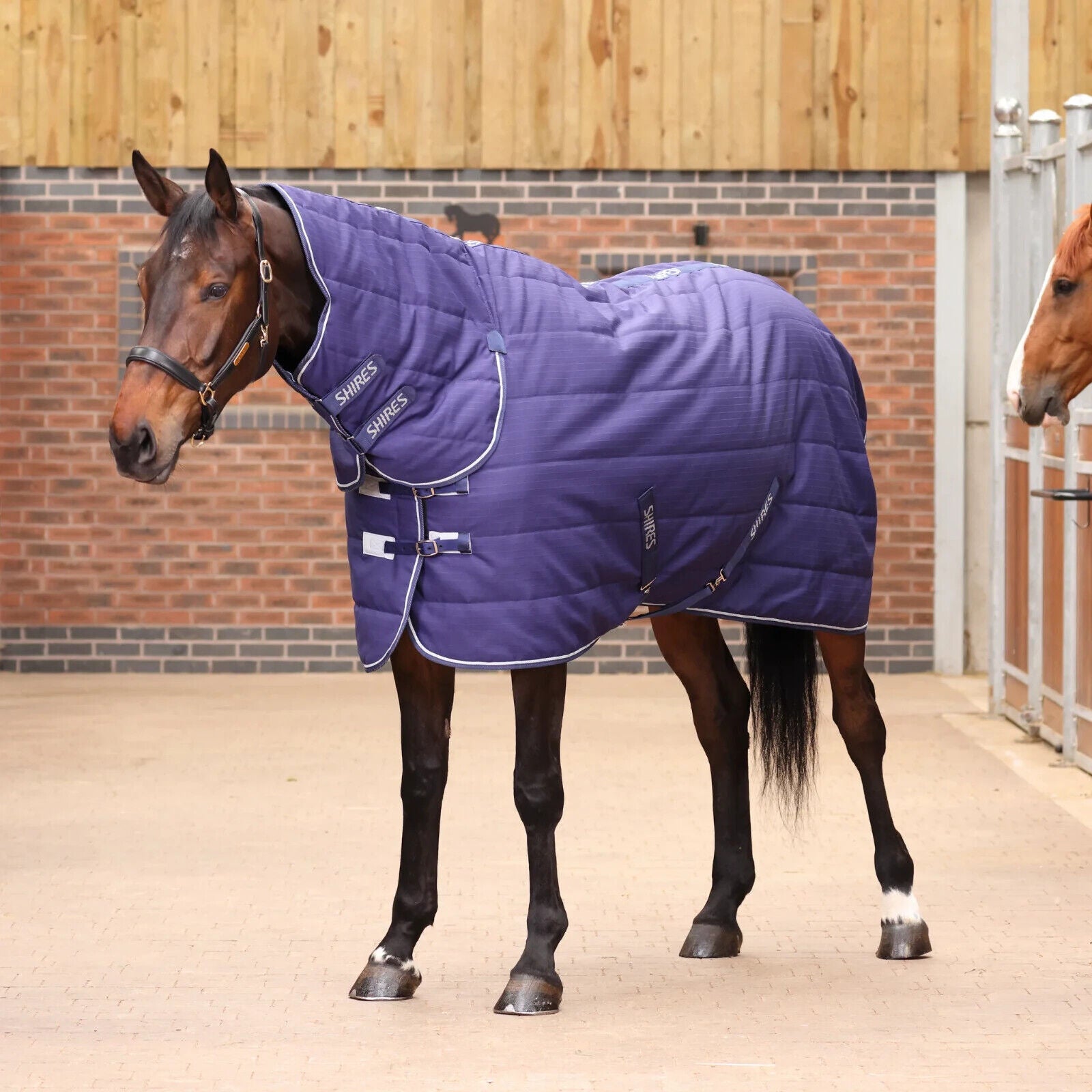 Picture of Shires Tempest Original 100G Lightweight Combo Full Neck Horse Stable Rug,4'-7'3