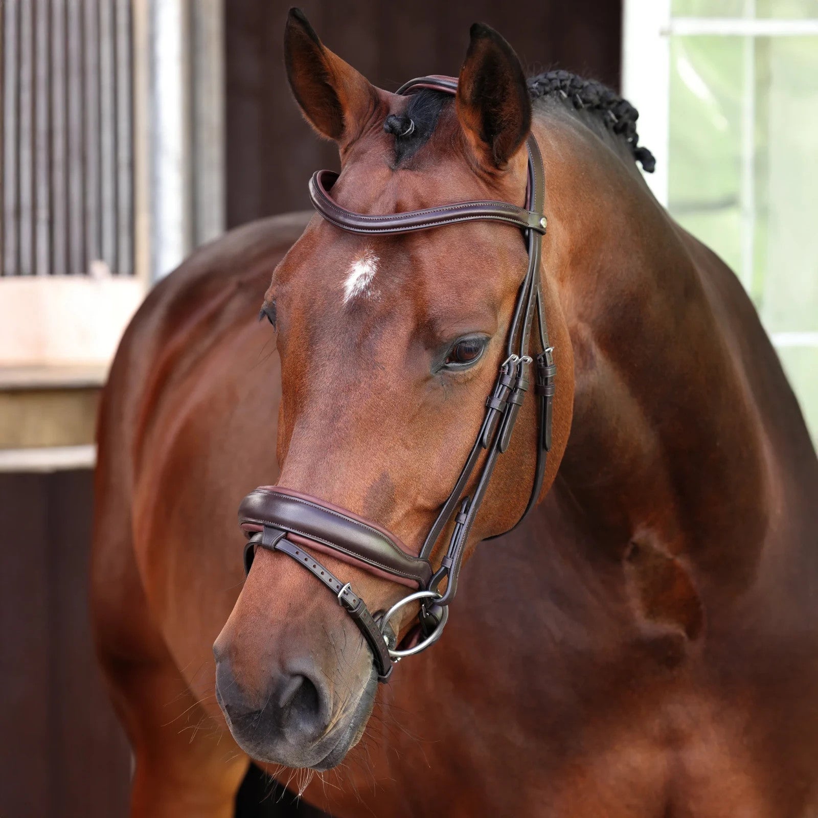 Picture of Shires Velociti LUSSO Elite Dressage Flash Bridle, Black / Havana, 4 Sizes