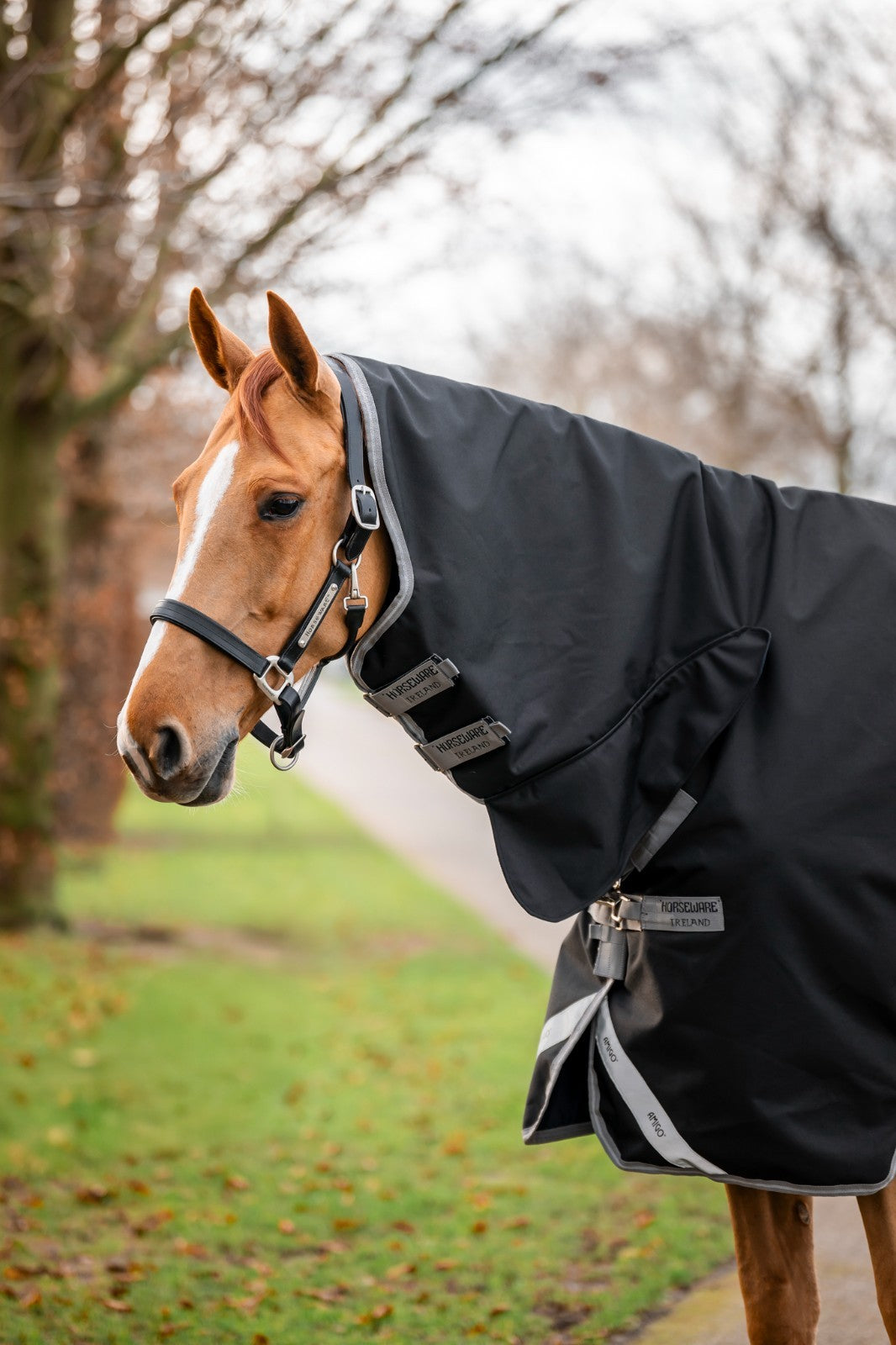 Picture of Horseware Amigo® 1200D Integrated 0g Lightweight Turnout Horse Rug,
