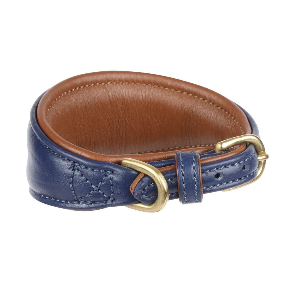 Picture of Shires Digby & Fox Padded Greyhound Leather Dog Collar, 4 Sizes, 6 Colours